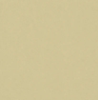 Cream PM-5019 laminate surface