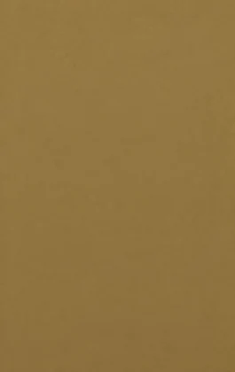 Caramel PM-5045 laminate surface