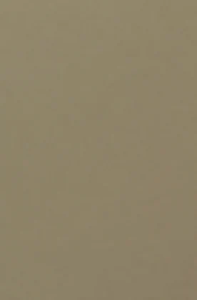 Latte PM-5057 laminate surface