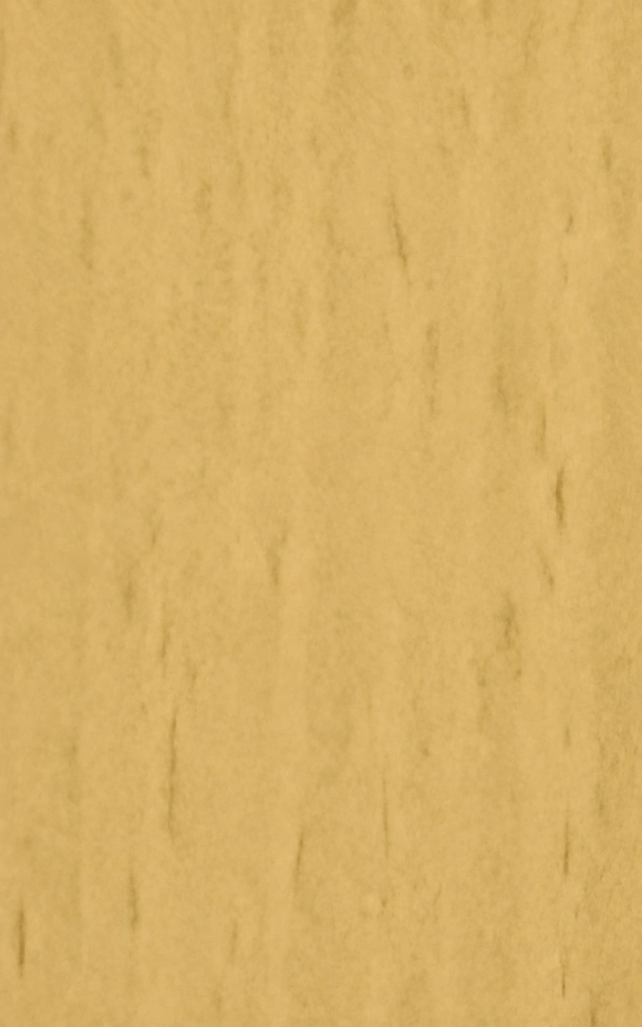 Vosges Beech PM-7102 层压板饰面