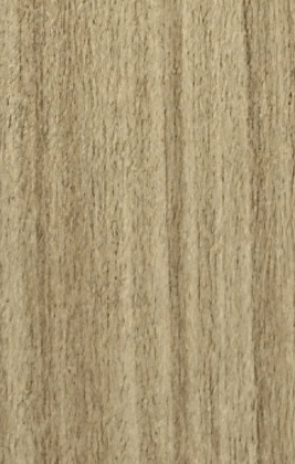 Ivory Oak PM-766 laminate surface